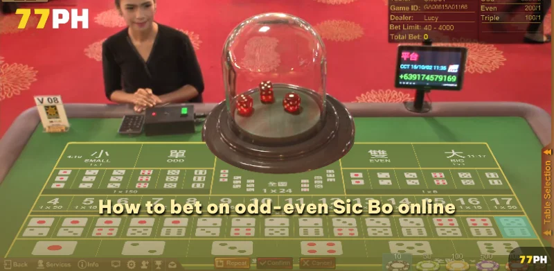 How to bet on odd-even Sic Bo online