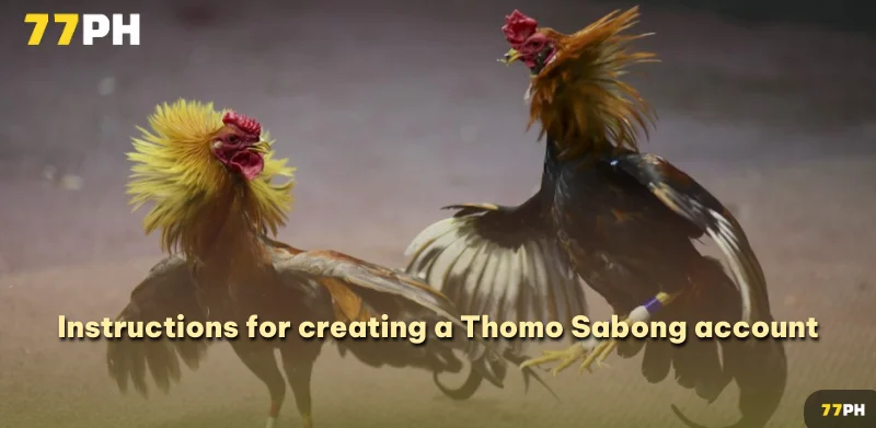 Instructions for creating a Thomo Sabong account