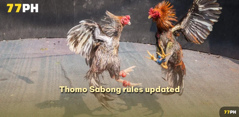 Thomo Sabong rules updated